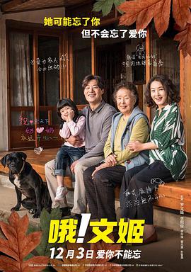 可以看的网站