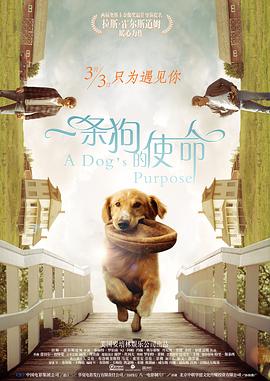 午夜看一级特黄a大片黑