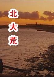 免费的黄网站